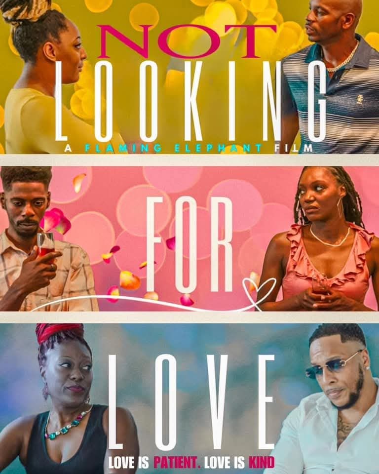 Not Looking for Love film poster